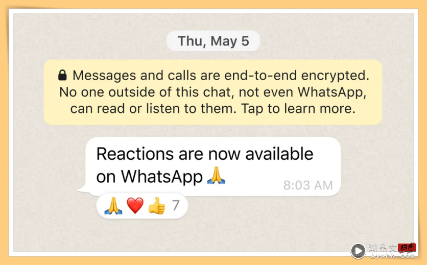 News I WhatsApp“Reactions”功能来了！6个表情符号对信息做出反应！ 更多热点 图3张